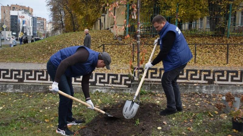 На улице Есенина в Рязани высадили молодые деревья